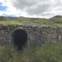 Image of Coldberry Mine arch, with spoil heaps in background. 11-Jul-2020